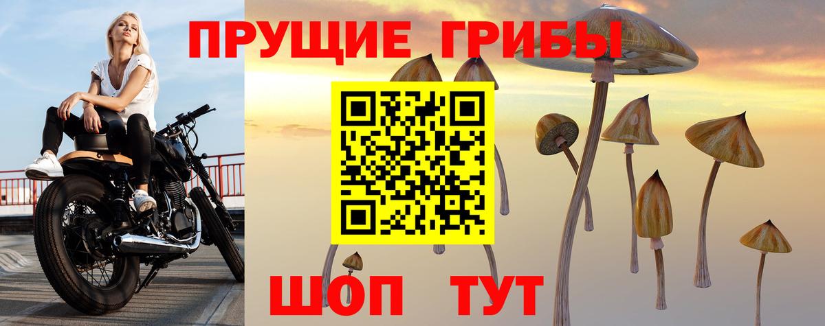 Галлюциногенные грибы мицелий  Галлюциногенные грибы Cubensis  Кстово  Вход с VPN 